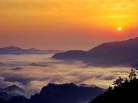 ������Ȼ�Ų��ظ���̩����ϼ����Ⱦ������