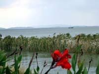 ̫��������Ӱ��