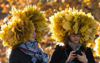 ����˹���շ���:��Ҷ��ñ�ӡ�