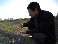 ������ʳ�� ̽�ñ����������������