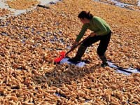 ���й�����֮�硱�����ڽ��