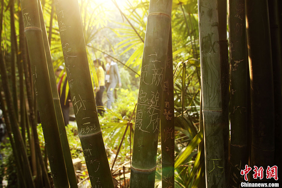 ���ϳ�ɳ��´��Ժ���ֱ����֡�