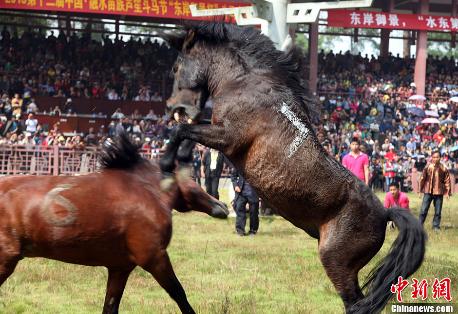 ���嶷���������մ̼���