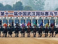 ��ʮһ���й��人���������ڼ������ݡ�