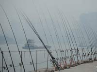 ������꽭�ߵġ���񴹵��ߡ���