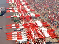 空中俯瞰自贸区”