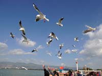 ����Ÿ��ǰ�ɵ�����Խ����