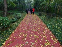 �Ͼ���ɽ��԰�羰�����û��Ͻ�ɽ��ɫ�̵���