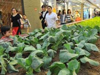 �����̳���ũ�� �ֲ������ݡ�