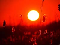 �½����ͺ��ء�Ϧ��Ⱦ«έ��һƬ�족