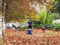 ��������Ϫ���ƽ������������