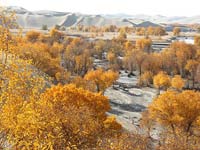 �½����������ɳĮ���ﾡ��Ѥ����⡱