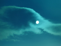 ���ɹų��������ݡ������澰��