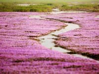 ۶����ʪ��ޤ�ӻ�����ɫ���ˡ�