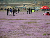 ۶������ǰ��ˮ�䡰������ԭ�� ���������������