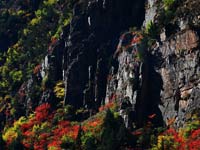 �Ĵ���������ʱ�ڲ��־�Ⱦ��