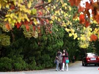 �ൺ�˴�����������������ˡ�