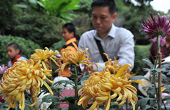 ��������ջ����涷�ޡ�