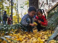 ���ϴ�ѧ����ơ����ӵ��ɾ��� ÿ�������������