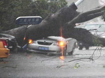 ǿ̨�硰���ࡱ����Ӱ������ ��������ε���