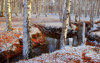 ������ѩ�á�������һ���֡�����������Ϣ��