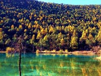 �����������¹ȡ�