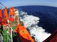 ��ѩ�����š��´����ϼ���