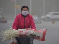 �����Ȫ�����붬�����׳�ɳ��Ϯ����