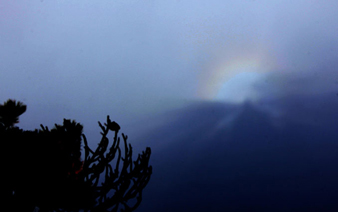 ���ջ�ɽ�������֡���⡱��