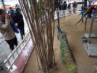 �人һ�͹���ǰ�������֡�