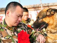 �½��߷�սʿ����ϧ��Ȯ��