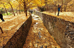 ������½�����ӽ�ơ�