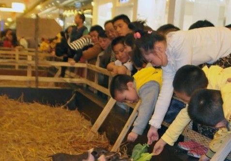 �����̳�������ũ����Χ�� �̼�����������