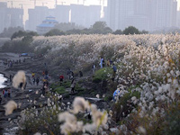 �人��������«ݶ������