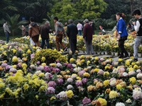 ������ջ������ɶ�����