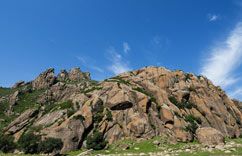 ���ɹſ�ʲ��������ʹ�԰��