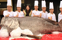 �㶫�������683�����ʯ���㡱