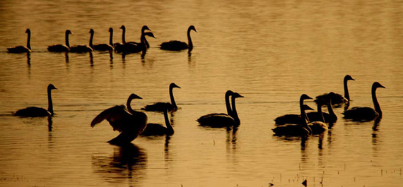 ������С��ʪ��ӭ������ϢԽ����