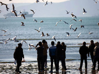 ��Ÿ�ɹ��ൺ ����ιʳӭ�ӡ�