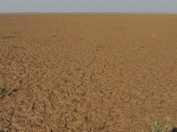 �й����ˮ��۶���������ˮ�ڡ�