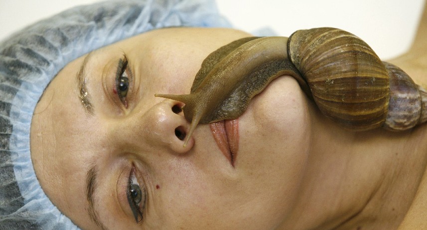 �ؿ�ζ����һ����Ժ�ṩ��ţ��Ħ��׷����