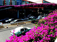 ���ݹ��������֡����л��ȡ������羰��