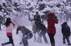 ��ѩ���󳤴���������ѩȤ��