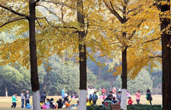 �Ͼ���ɽ����־�Ⱦ��