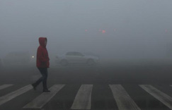 ����������������ɫԤ�� �����ٴ����ֱ��ǡ�