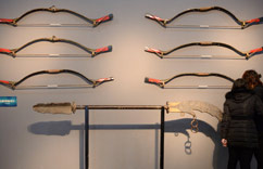 ���ɹ������Ӽ�չ�������ڡ�