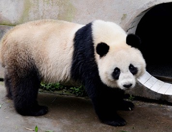 ̩��̽���ſ����������è�ֱ���