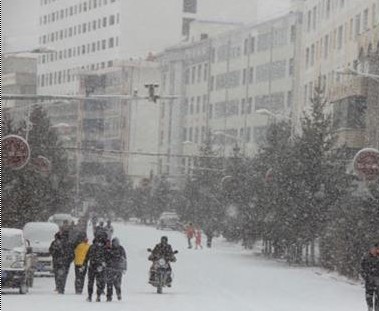 ���������׳���ѩ �����������º��顱