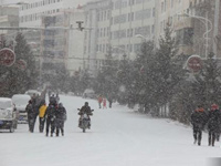 ���������׳���ѩ �����������º��顱