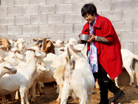 ��ϿŮ���ġ����͡������ƶ��